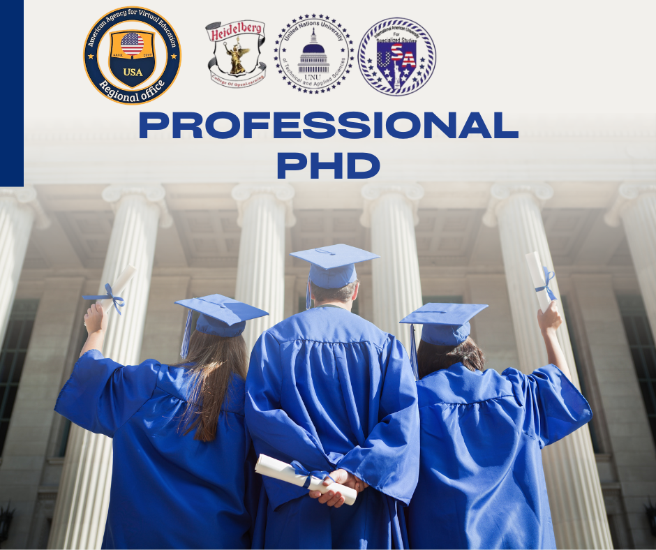 Professional PhD 